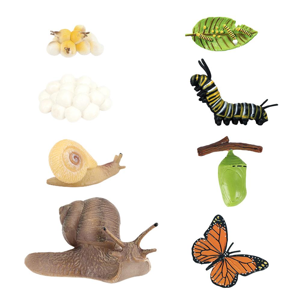 2 Set Realistic Nature Growth Child Education Learning Teaching Toys