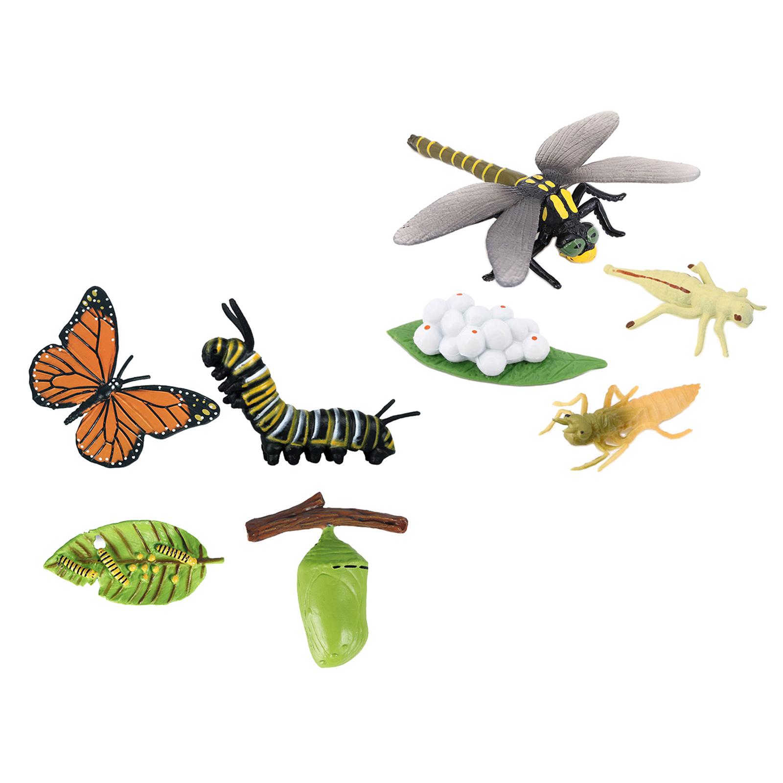 Realistic Nature Butterfly Dragonfly Growth Education Learning Teaching Toys