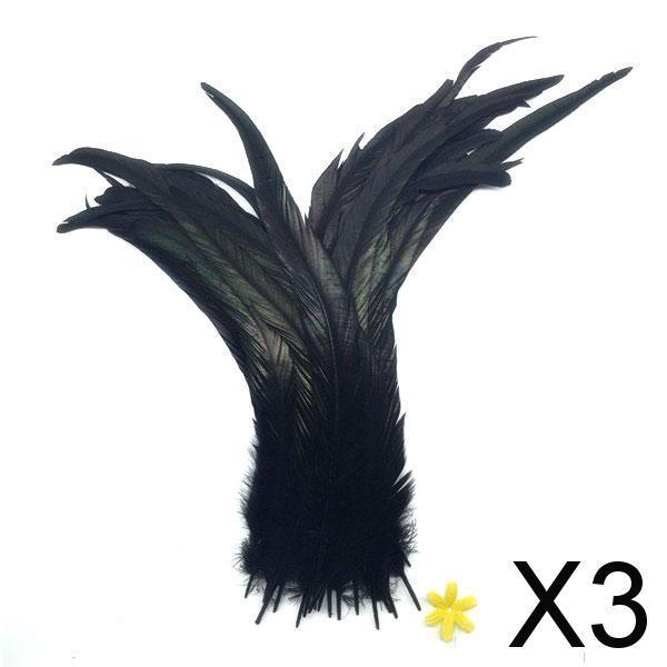 3xWholesale Quality Beautiful 10PCS Dyeing Rooster Tail Feathers Black