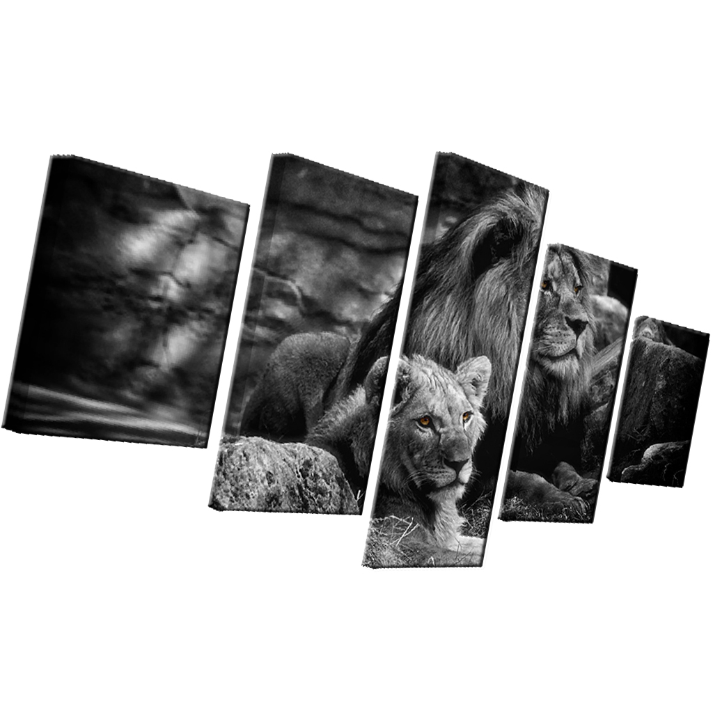 HD 5 Panels Modern Style Canvas Paintings Wall Art Decor for Home Black White Lions