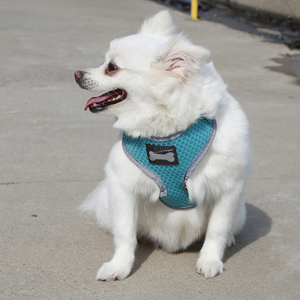 Breathable Mesh Pet Dog Walking Collar Chest Strap Harness Turquoise XL