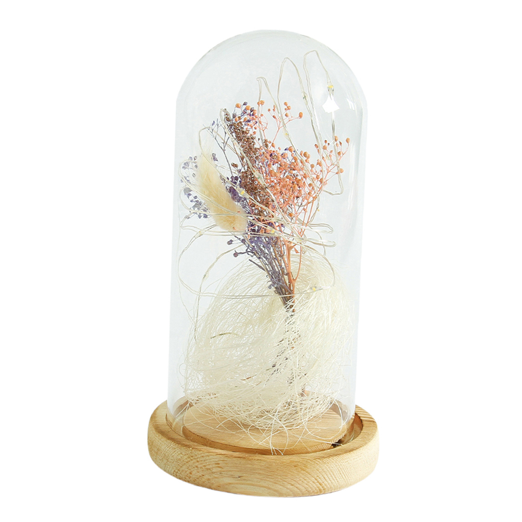 Dried Flower Glass Dome Lamp LED Night Light String Table Lamp Colourful
