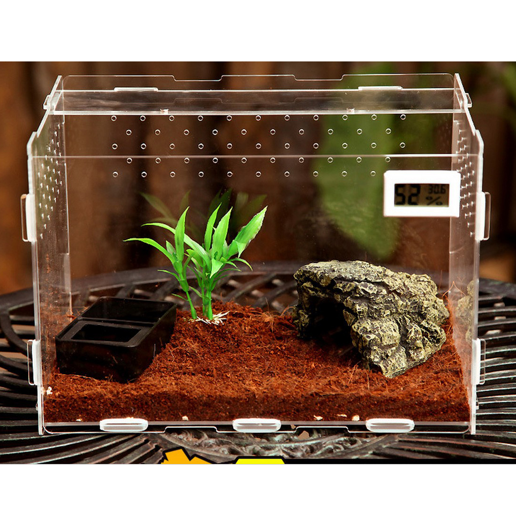 Clear Acrylic Box Tank Small Animal Keeper Reptile Insects Terrarium