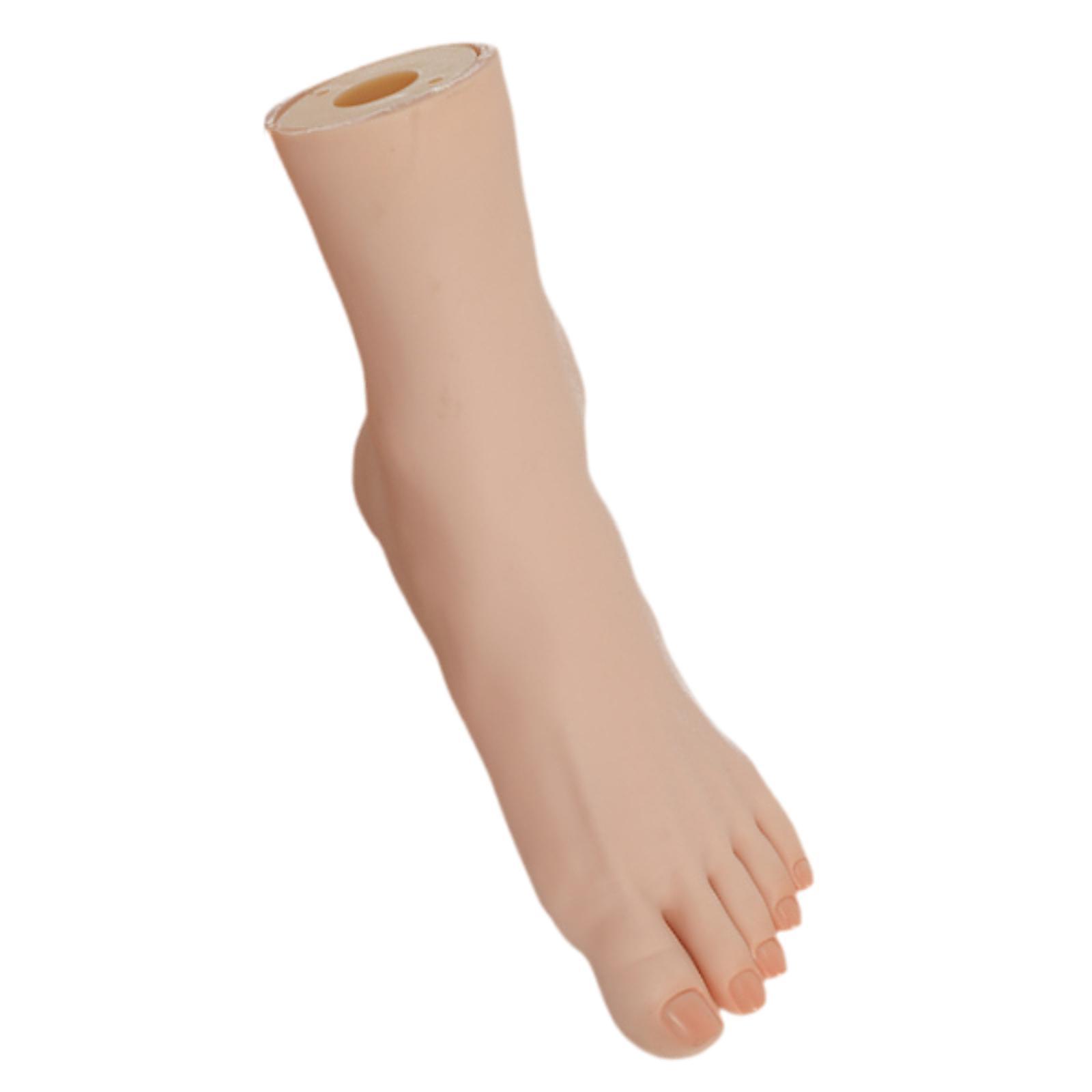 Mannequin Foot Model Left Foot