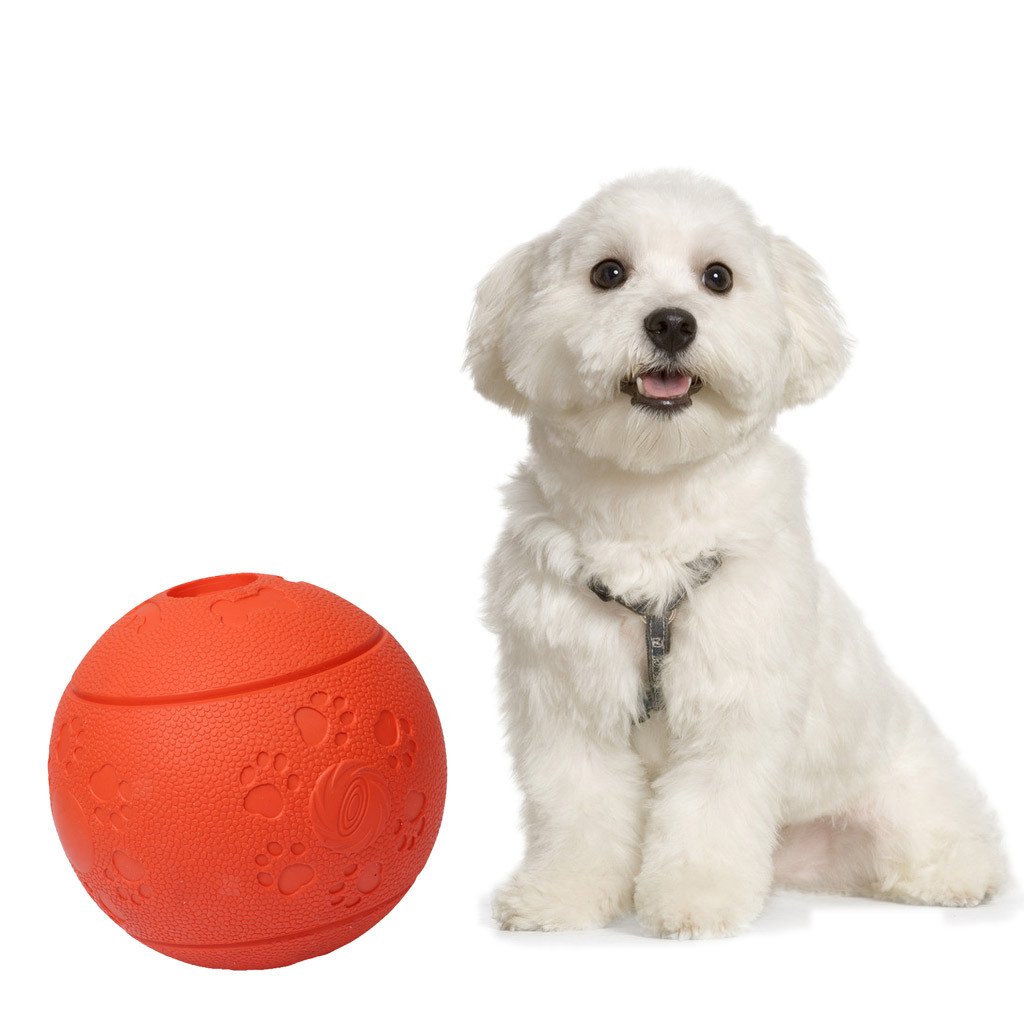 Hunde Gummiball Unkaputtbarer Hund Hundespielball Leckerliball mit eBay