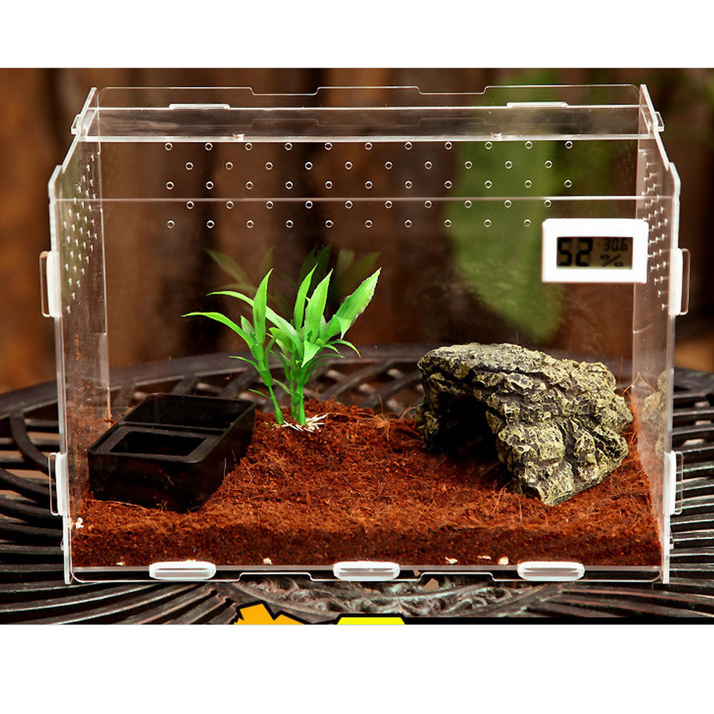 Clear Acrylic Box Tank Small Animal Keeper Reptile Insects Terrarium ...