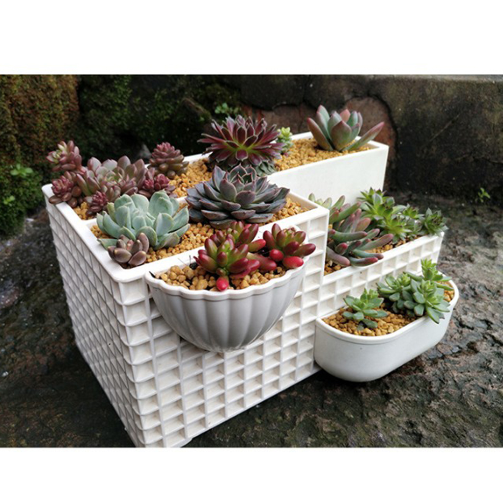 Nordic Style Succulent Mini Plant Flower Pot Indoor Planter Combo