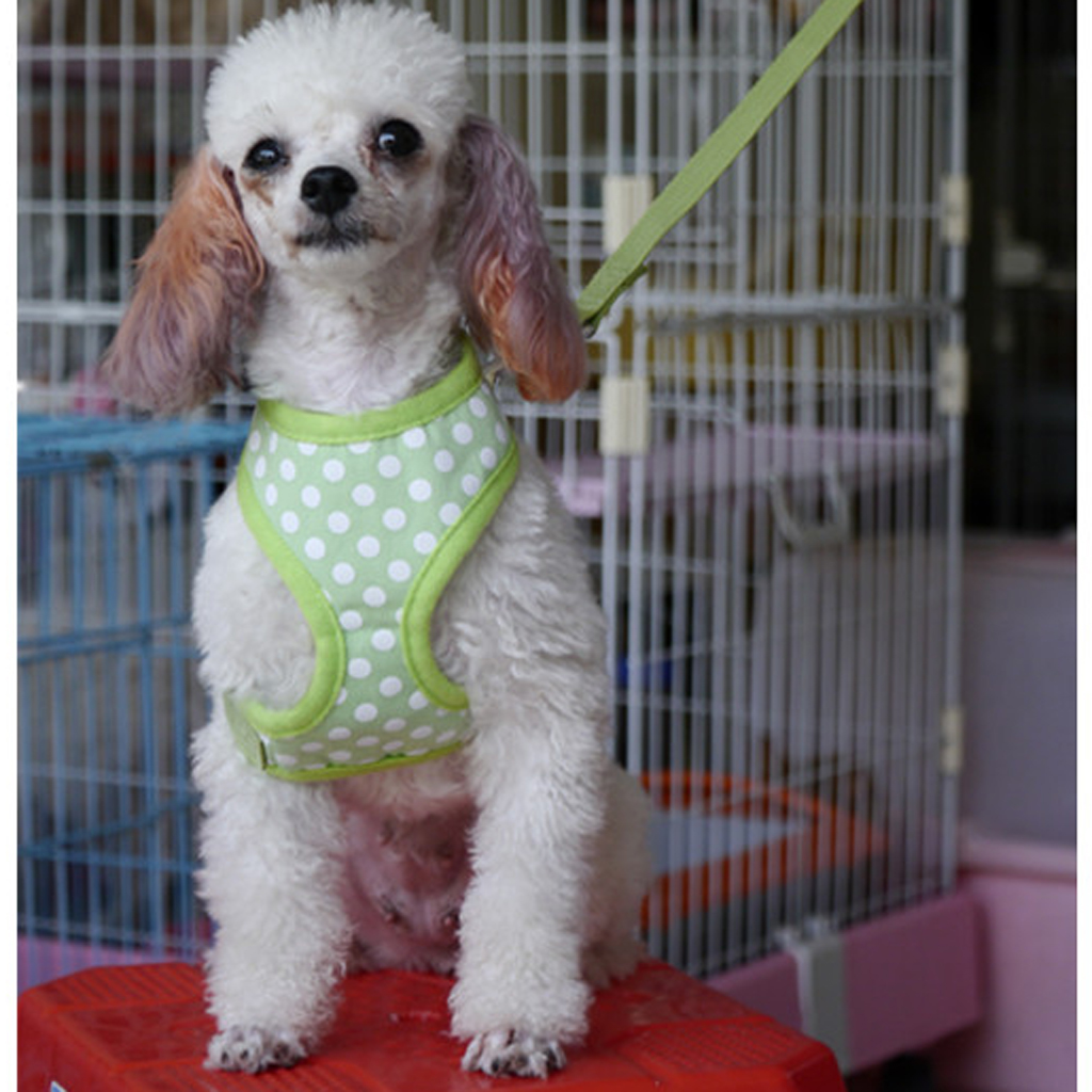 Pet Dog Soft Mesh Harness Clothes M - Green with White Dots