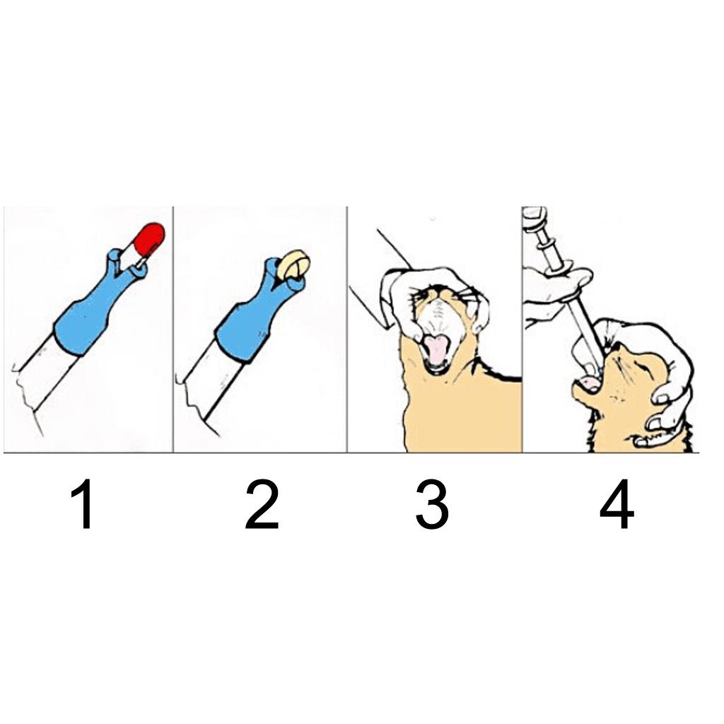 4xPet Dog Cat Capsule Tablet Pill     Piller Pusher Syringe Doser Set--Green