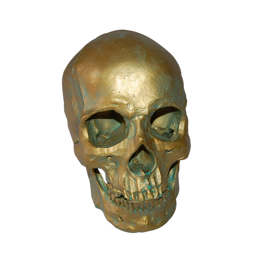 1:1 Human Skull Resin Model Anatomical Medical Skeleton Antique Bronze