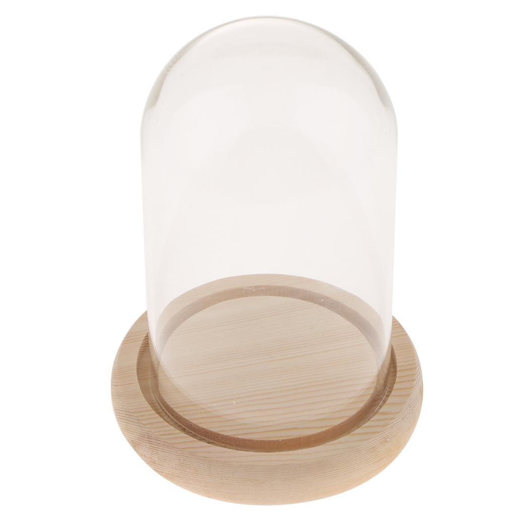 Wooden Glass Dome with Wooden Base Cloche Glass Cover Flower Vase Holder B