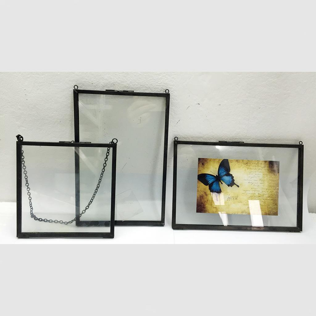 Double Sided Glass Hanging Picture Photo Frame Flower Plant Display Frame Ebay