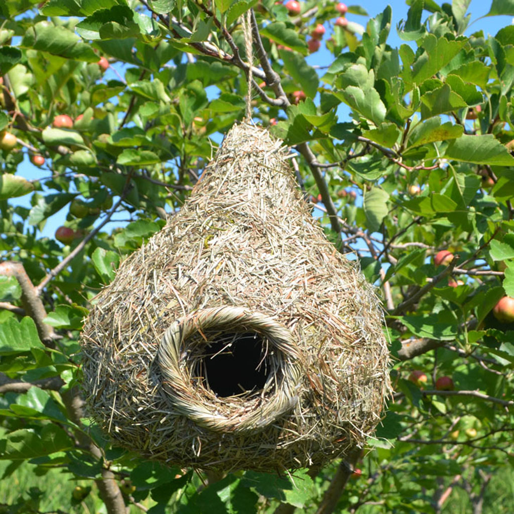 Bird Nest Breeding Bird Box Wild Grass Nest Canary Finch Budgie House ...