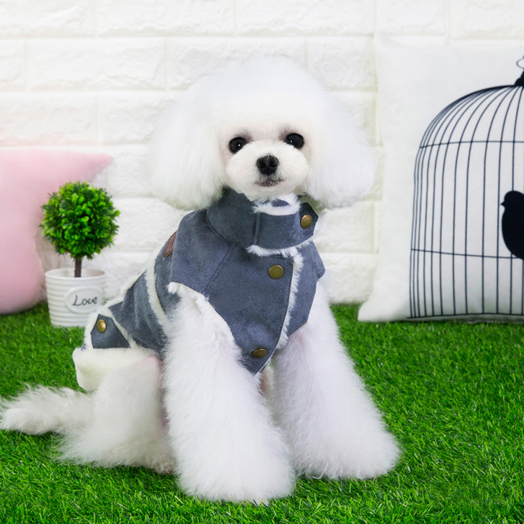 Haustier kleiner Hund Teddy Pudel winddicht Winter Plüsch Weste