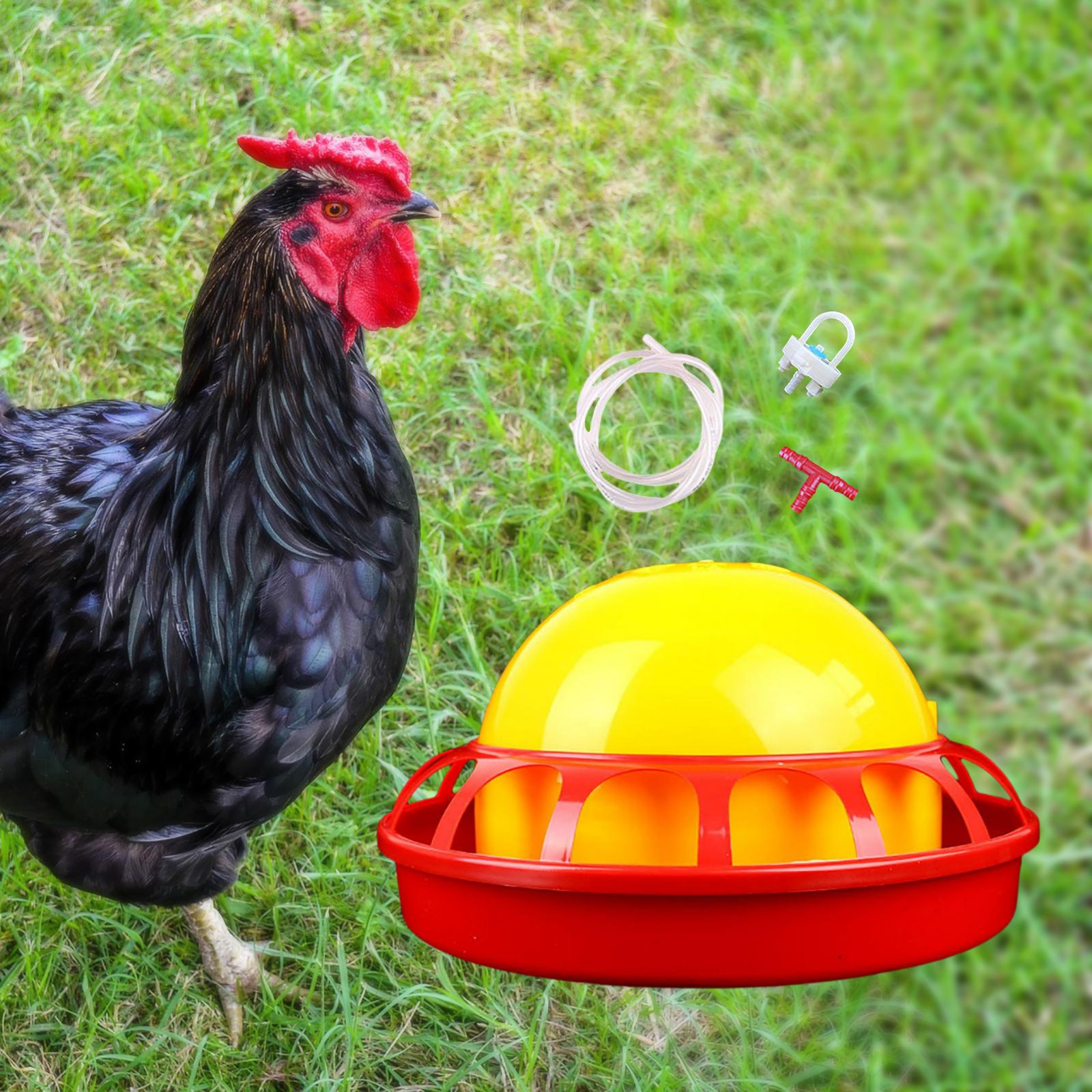 Automatic Chicken Waterer Chick Hen Poultry Farming Drinkers Set 22x12x3.5cm