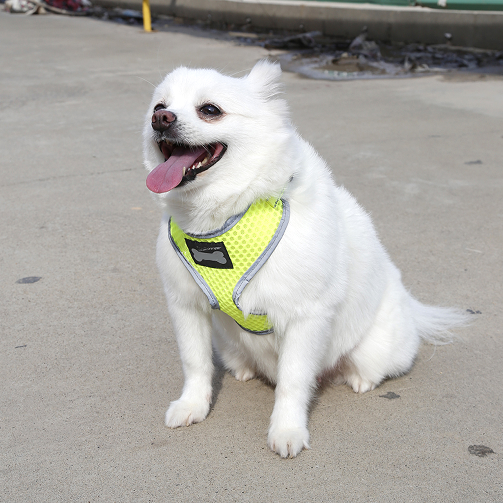 Breathable Mesh Pet Puppy Dog Walking Collar Chest Strap Harness Yellow S