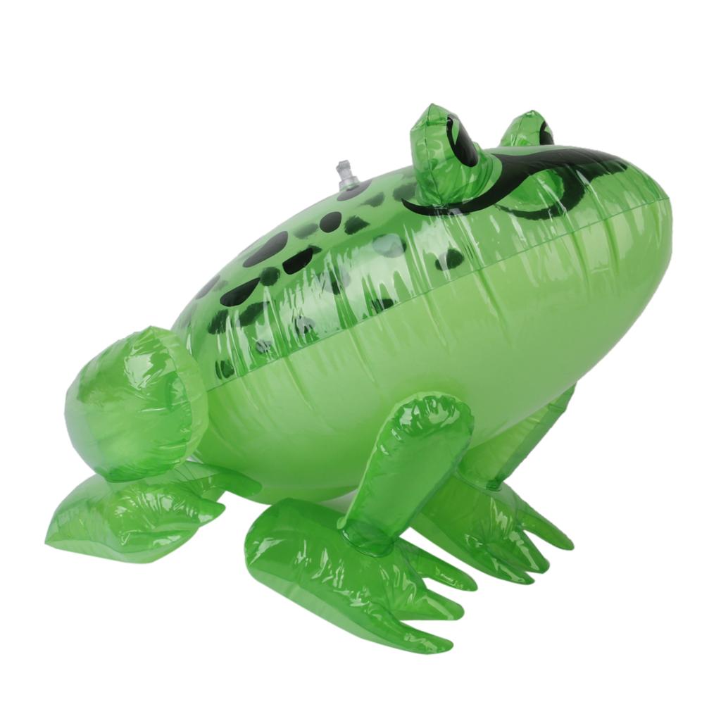 Inflatable Frog Toy