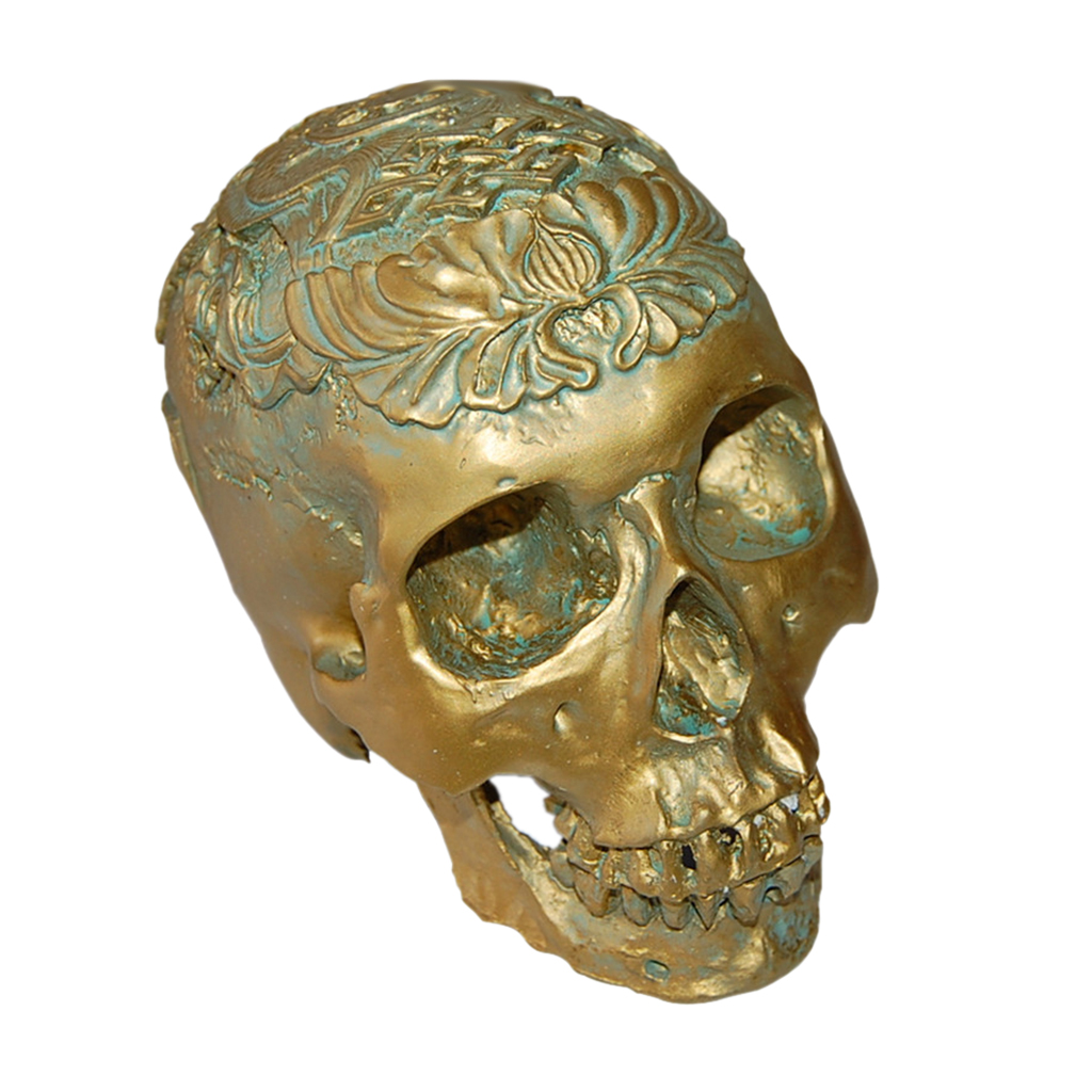 Human Skull Resin Model Anatomical Medical Skeleton Antique Bronze Carving