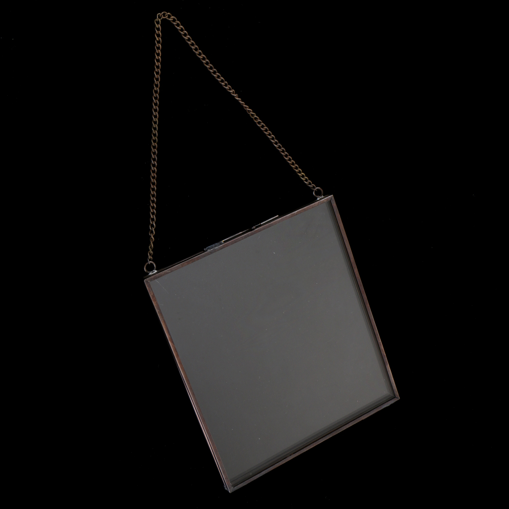 2xDouble Side Hanging Photo Picture Frame Plant Specimen Frame B 14x16cm