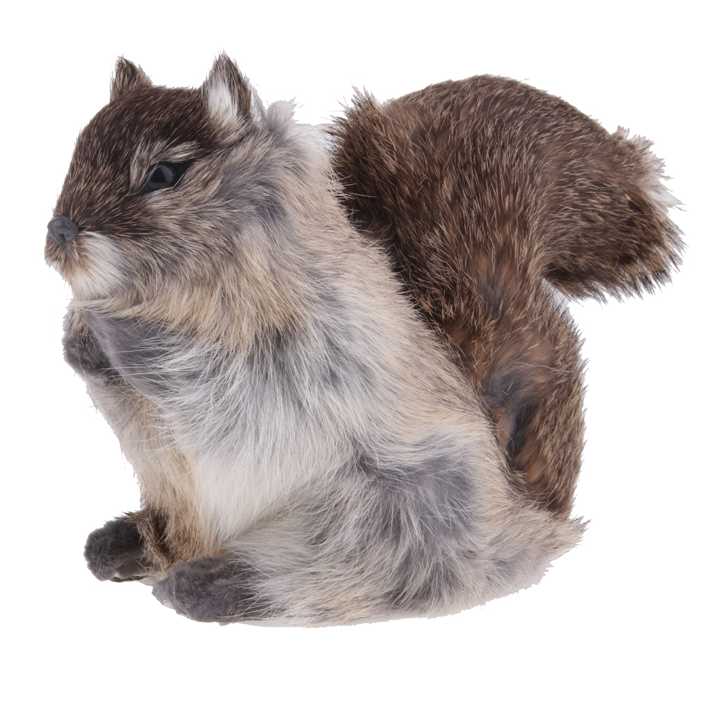 Artificial Squirrel Model