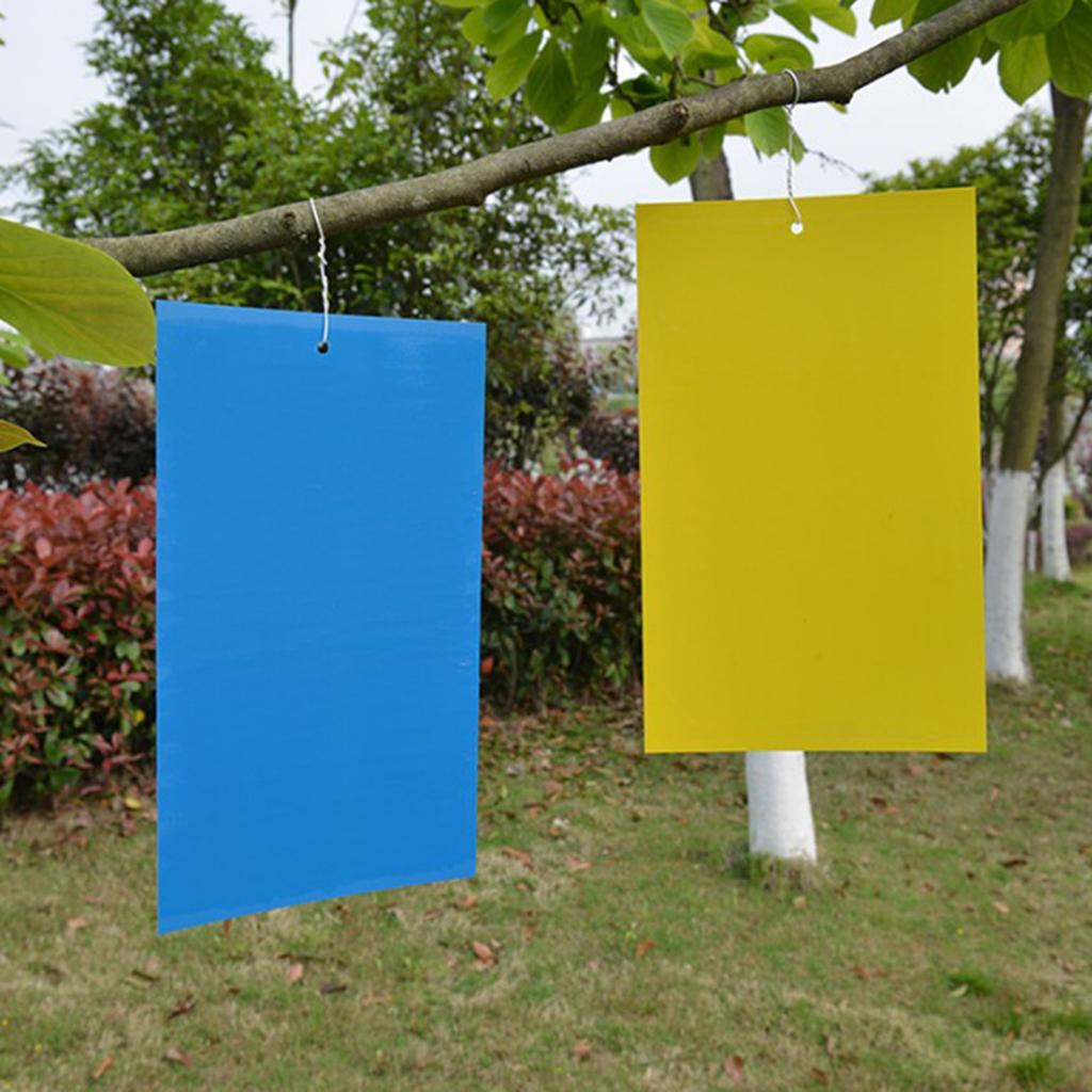 20PCS Sticky Traps Glue for Flying Bug Insect Useful Catchers Traps