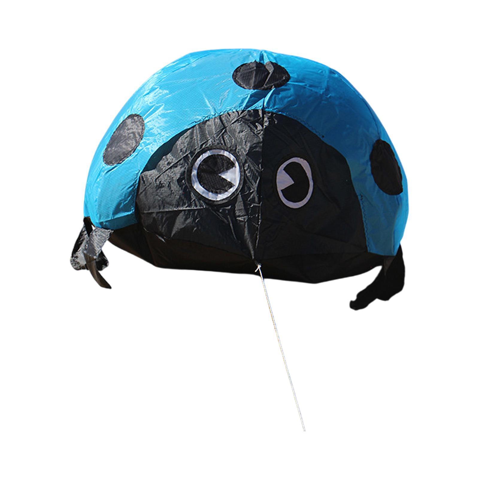 Inflatable Ladybug Decor Blue