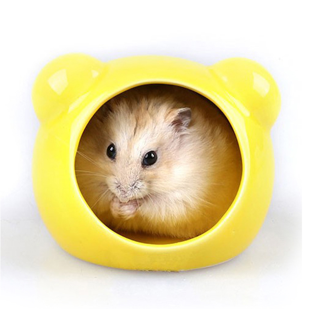 dwarf hamster hideout