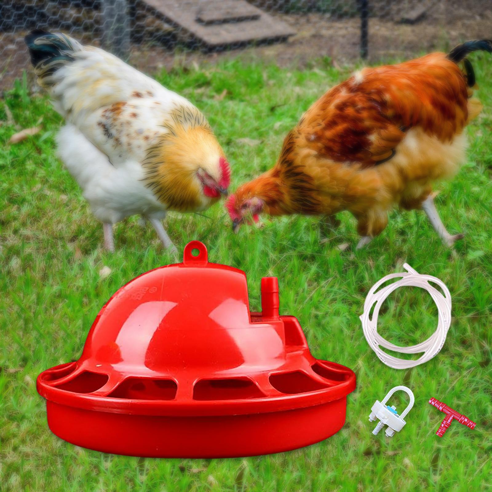 Automatic Chicken Waterer Chick Hen Poultry Farming Drinkers Set 18x10x3cm