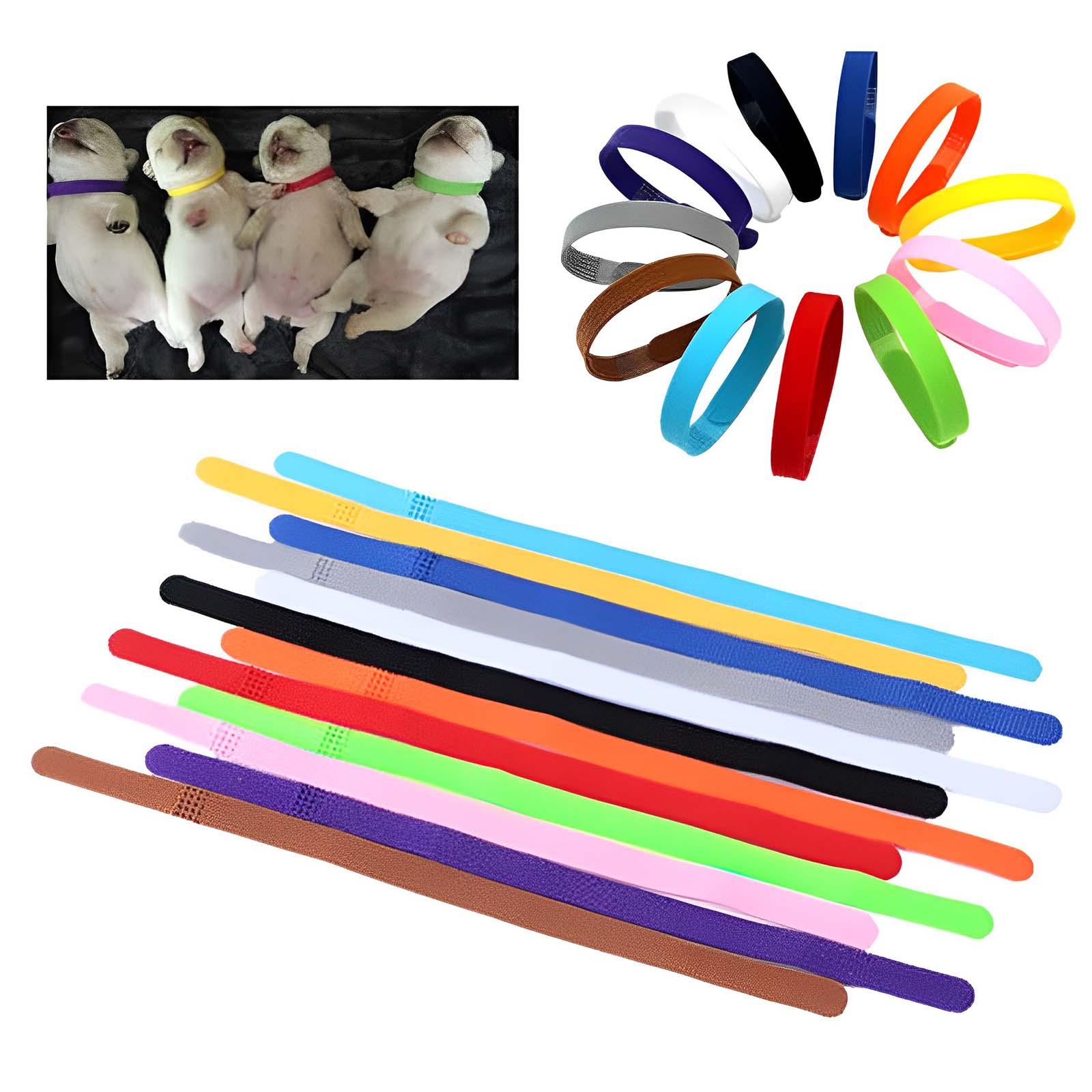 12Pcs Puppy Identification Collar Comfortable for Chinchillas Cat Small Pets