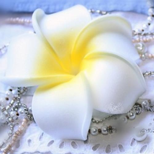 6xWomen Girls Plumeria Flower Foam Hair Clip - White
