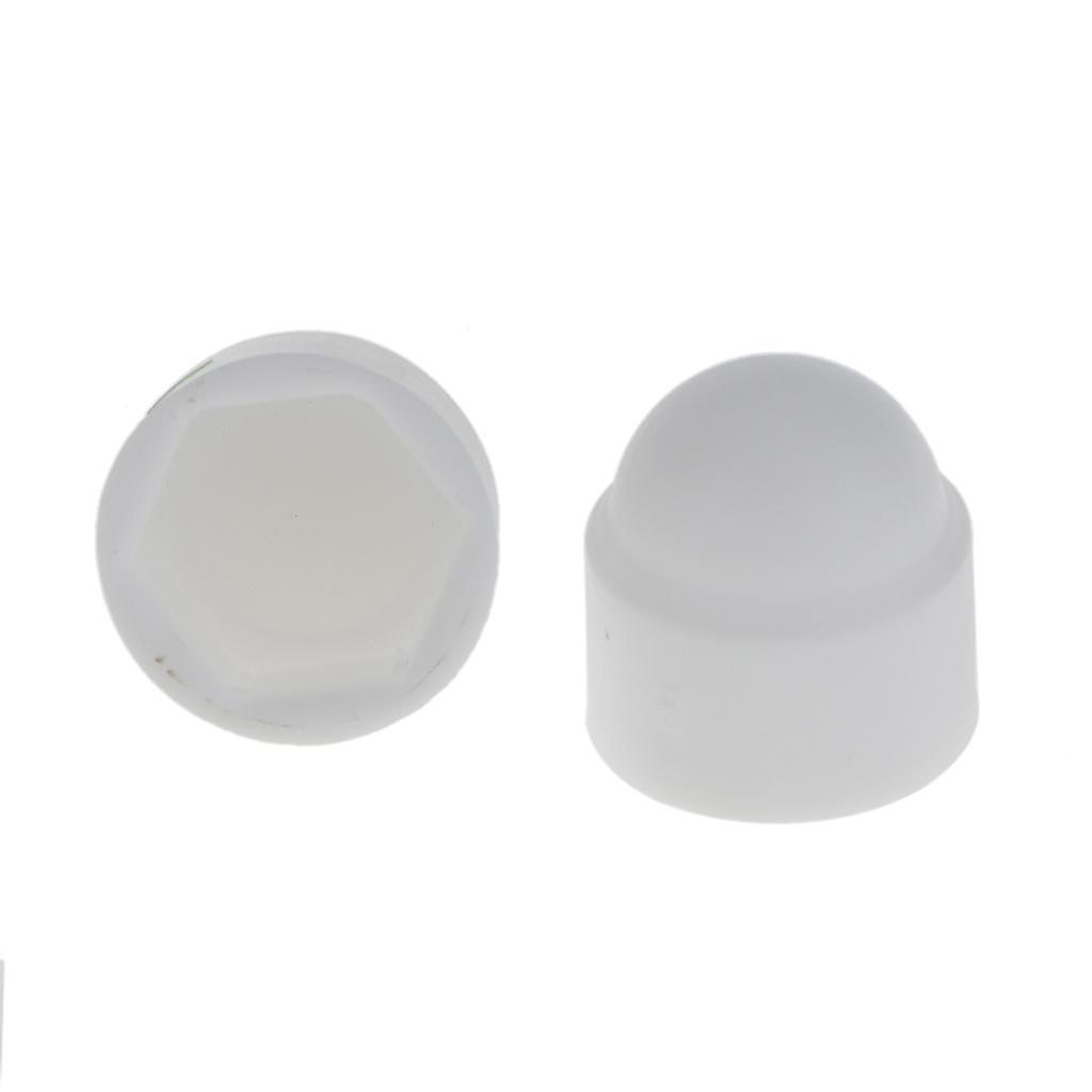M4 M5 M6 M8 M10 M12 M14 M16 M18 M20 White Plastic Dome Nut Protection