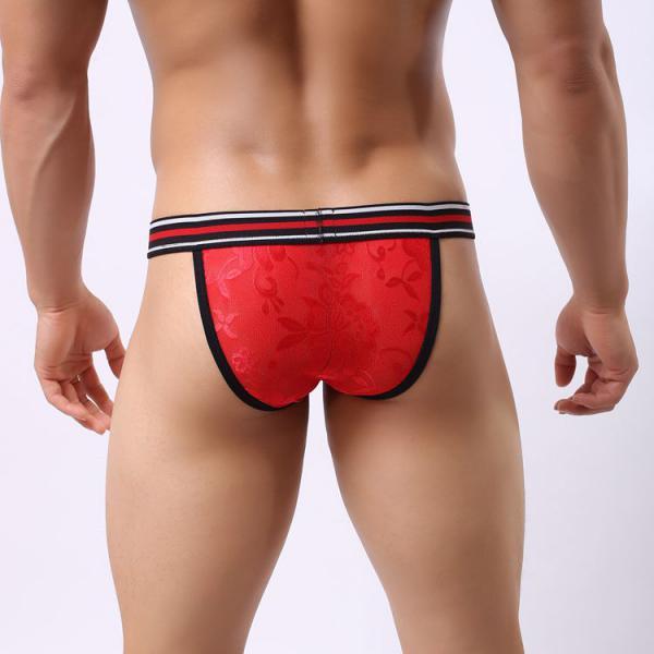 Mens Sexy Briefs Lace Underwear See Through Thongs T-back G-string Red M