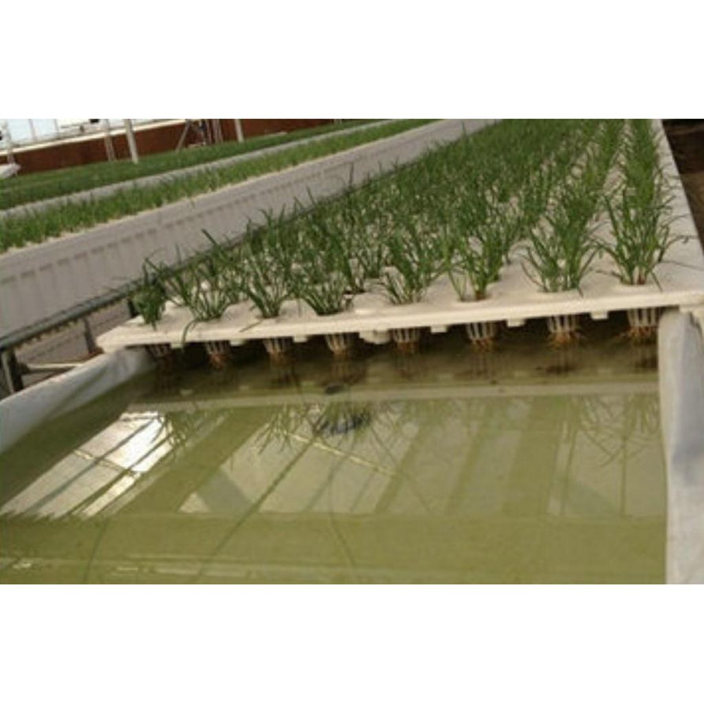 Ø 35mm Hydrokultur Pflanzkorb Wasserpflanzen Befestigen Zubehör Teich Korb 10x 
