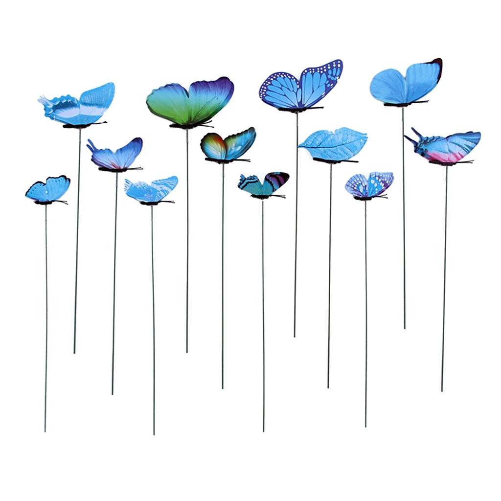 Butterfly Stakes Blue