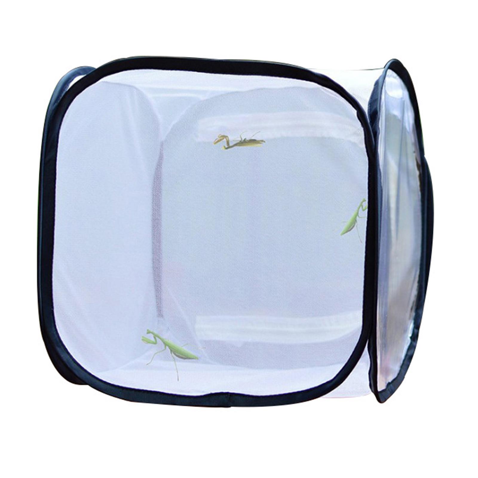 Insect and Butterfly Cage for Nature Observation Mantis Insects Raising