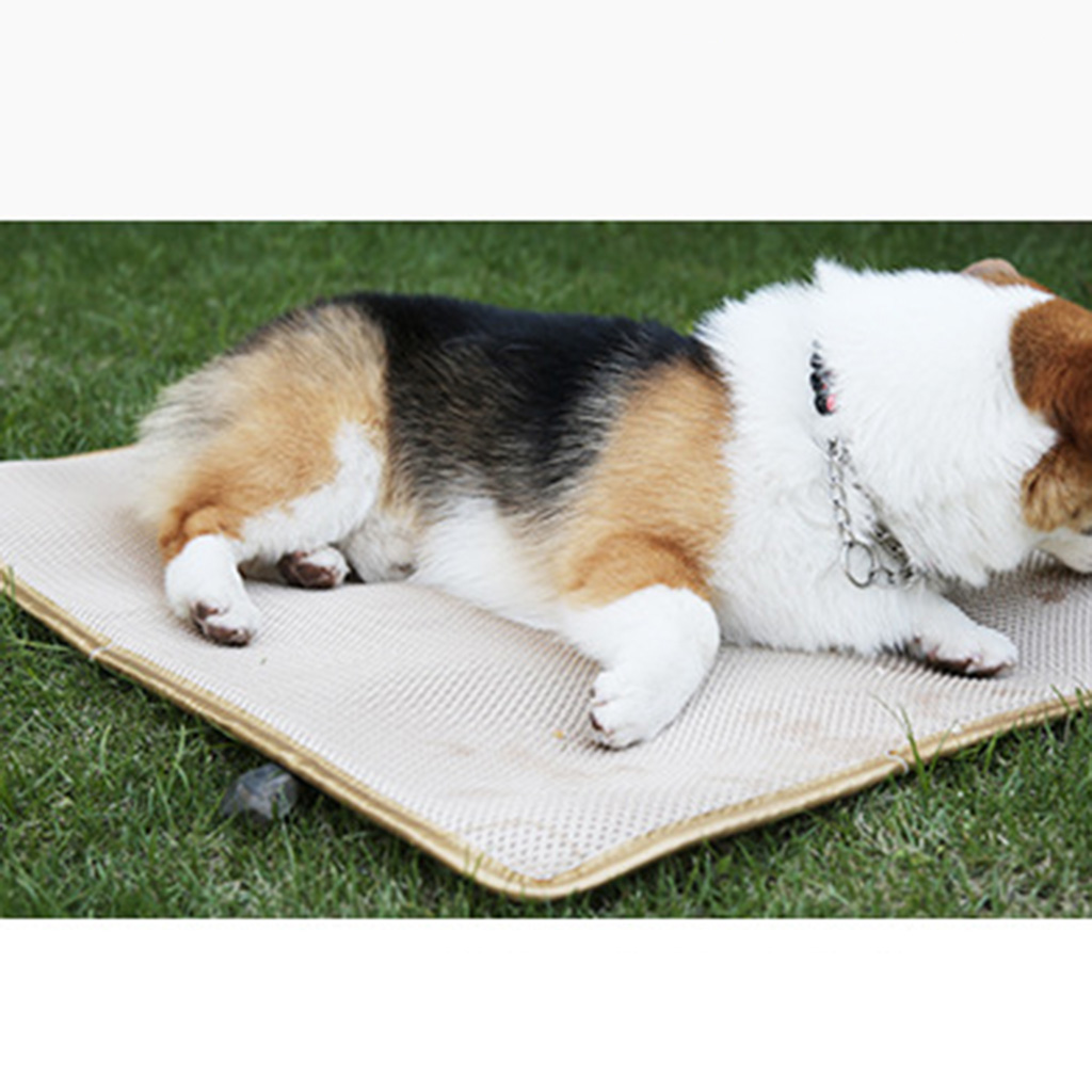 Pet Waterproof and Bite-resistant Rehabilitation Pad Classic Mat 80x60cm 