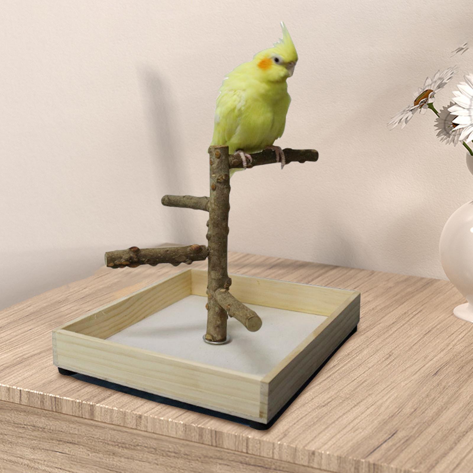 Bird Perch Bird Training Stand Tabletop for Cockatiels Lovebirds Parakeets 23x26x20cm