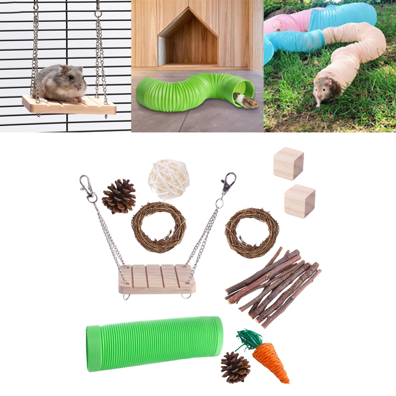 11x Hamster Chew Pets Toy Guinea Pig Rabbit Rat Rodents Chinchilla  Green