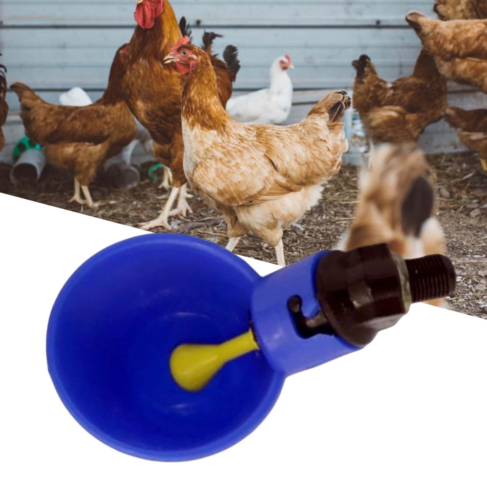 Chicken Drinking Cup Poultry Water Bowl Waterer Coop Bird Automatic Nipples Blue