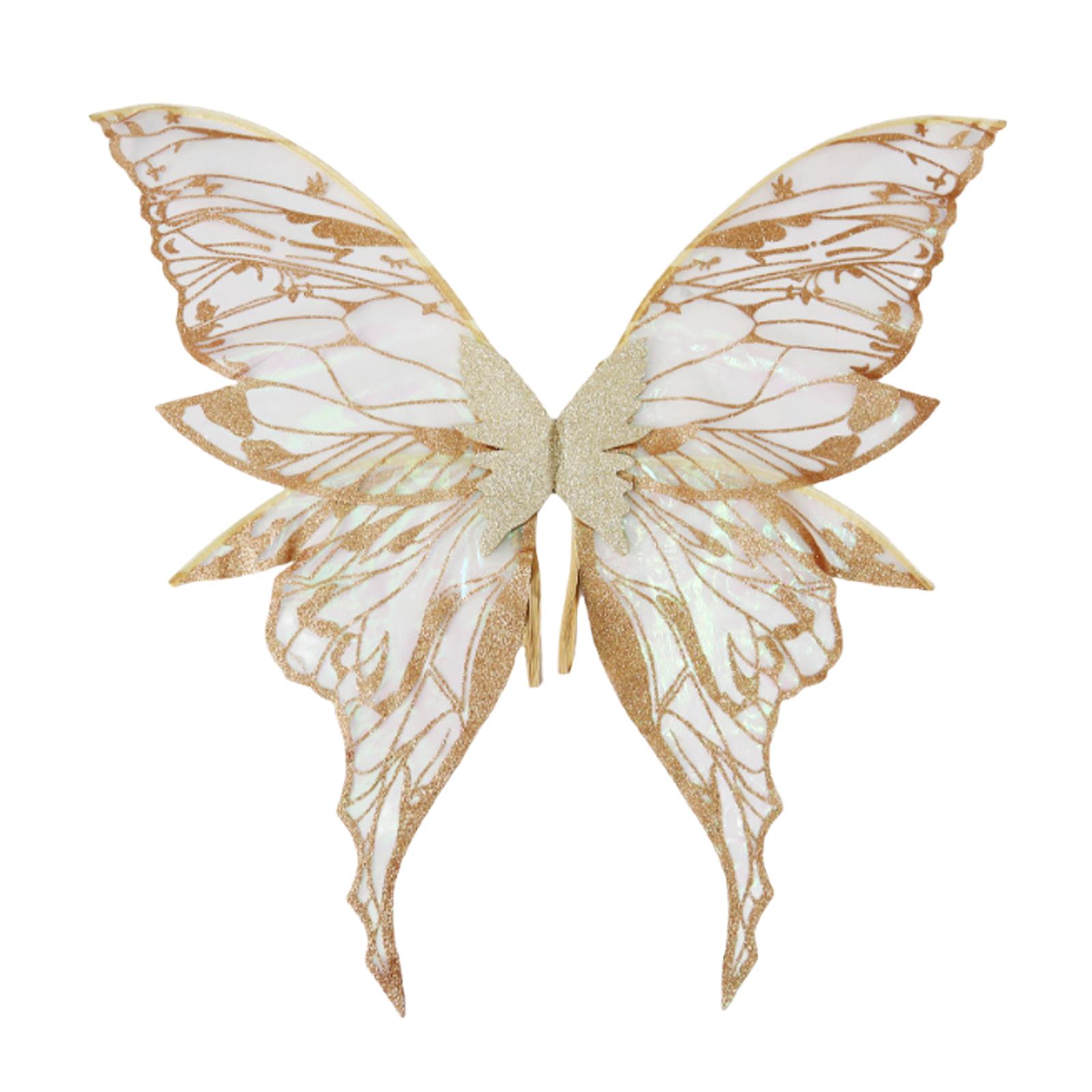 Butterfly Wing