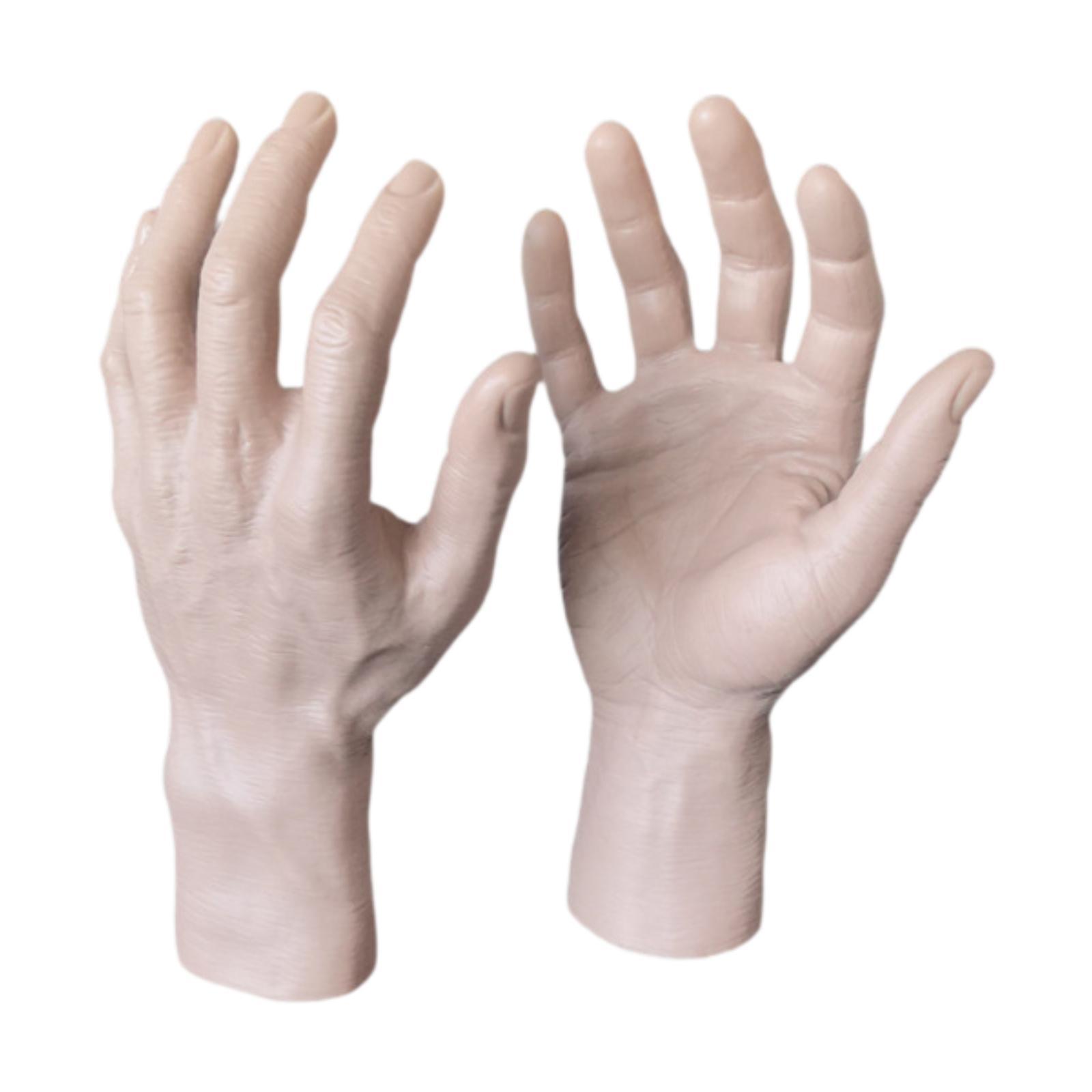 Male Hand Model