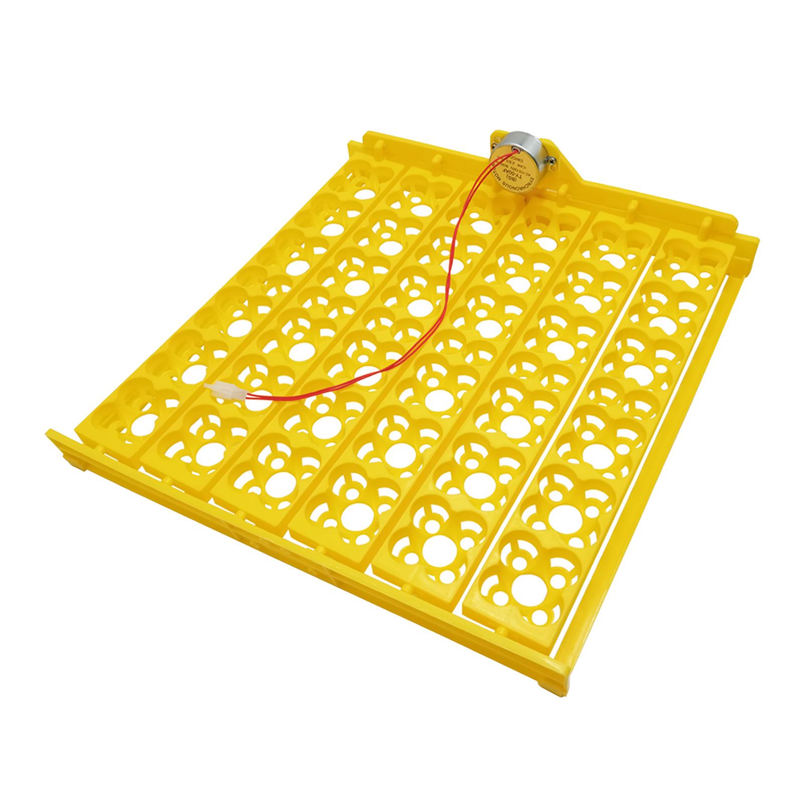 Egg Incubator Turning Tray 110V US