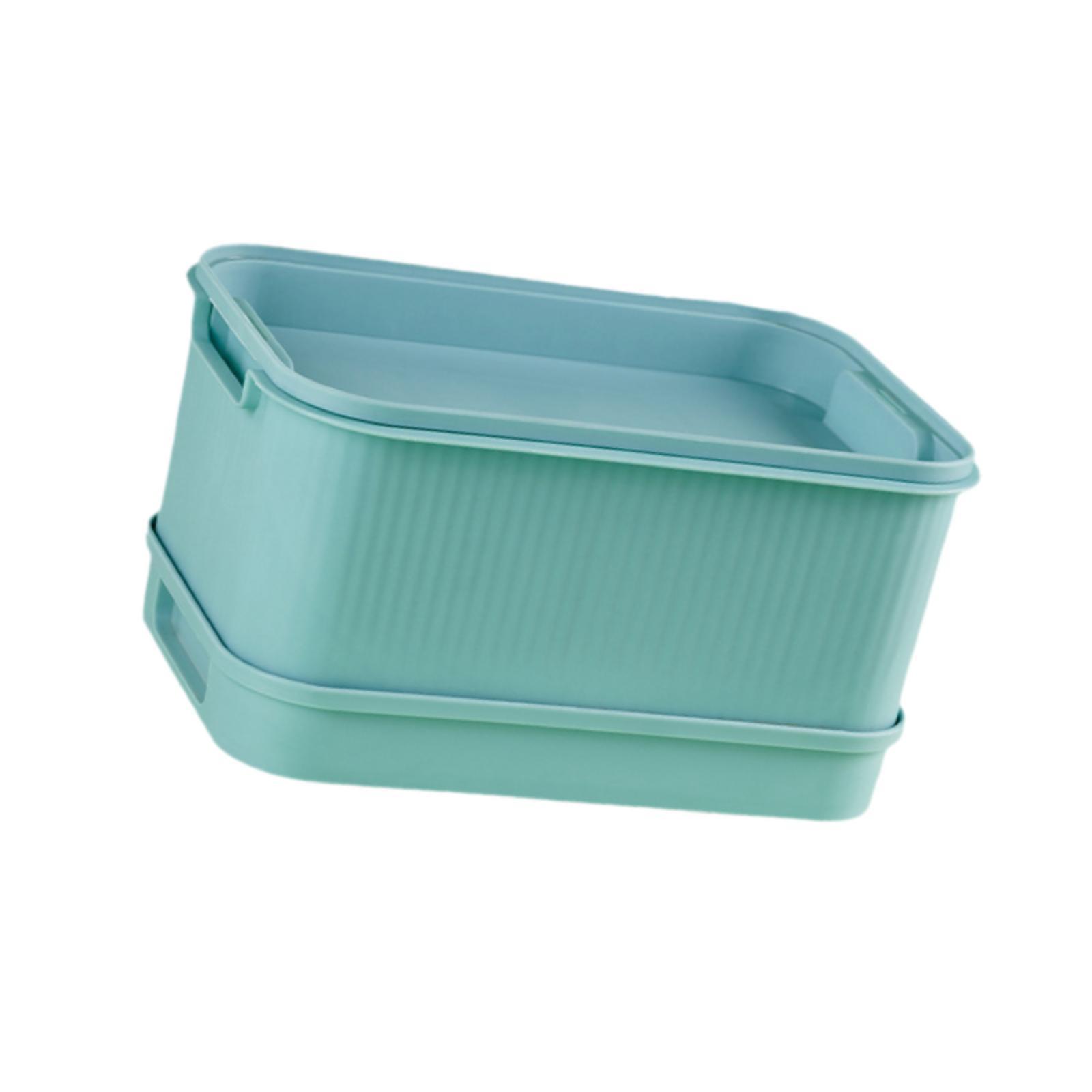 Seed Sprouts Tray