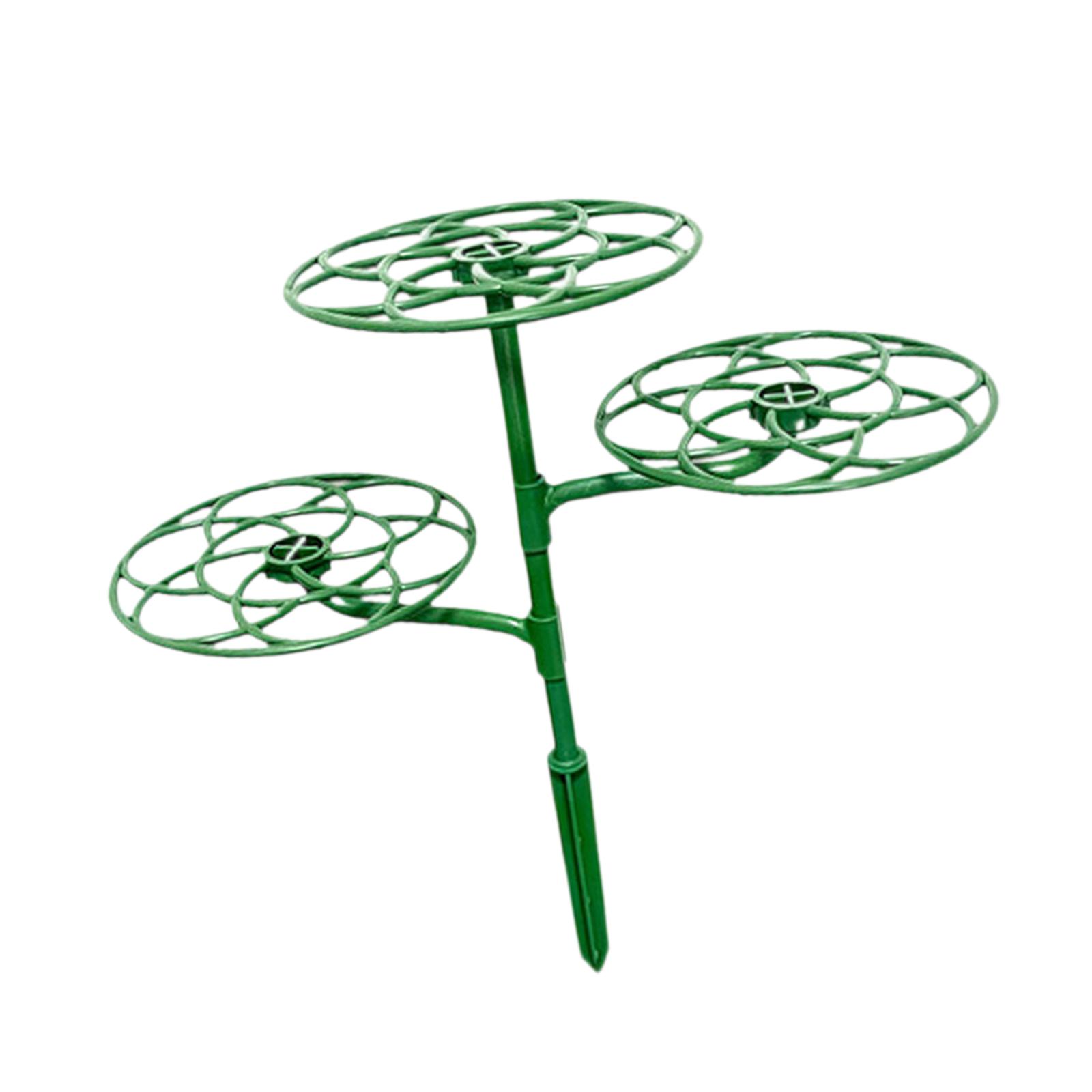 Ladder Rack Plant Support