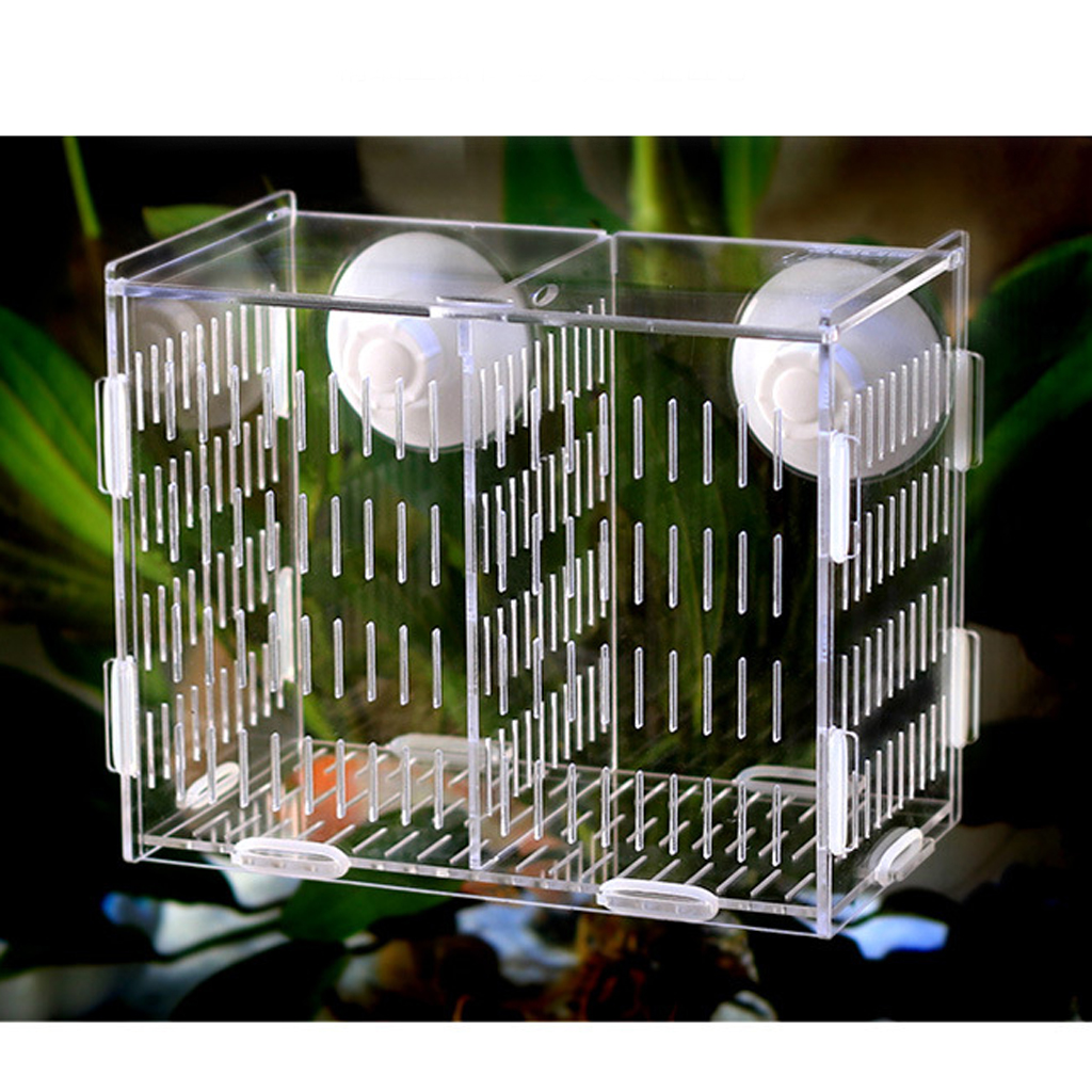 Pet Aquarium Fish Tank Guppy Double Breeding Breeder Rearing Trap Box Hatchery eBay
