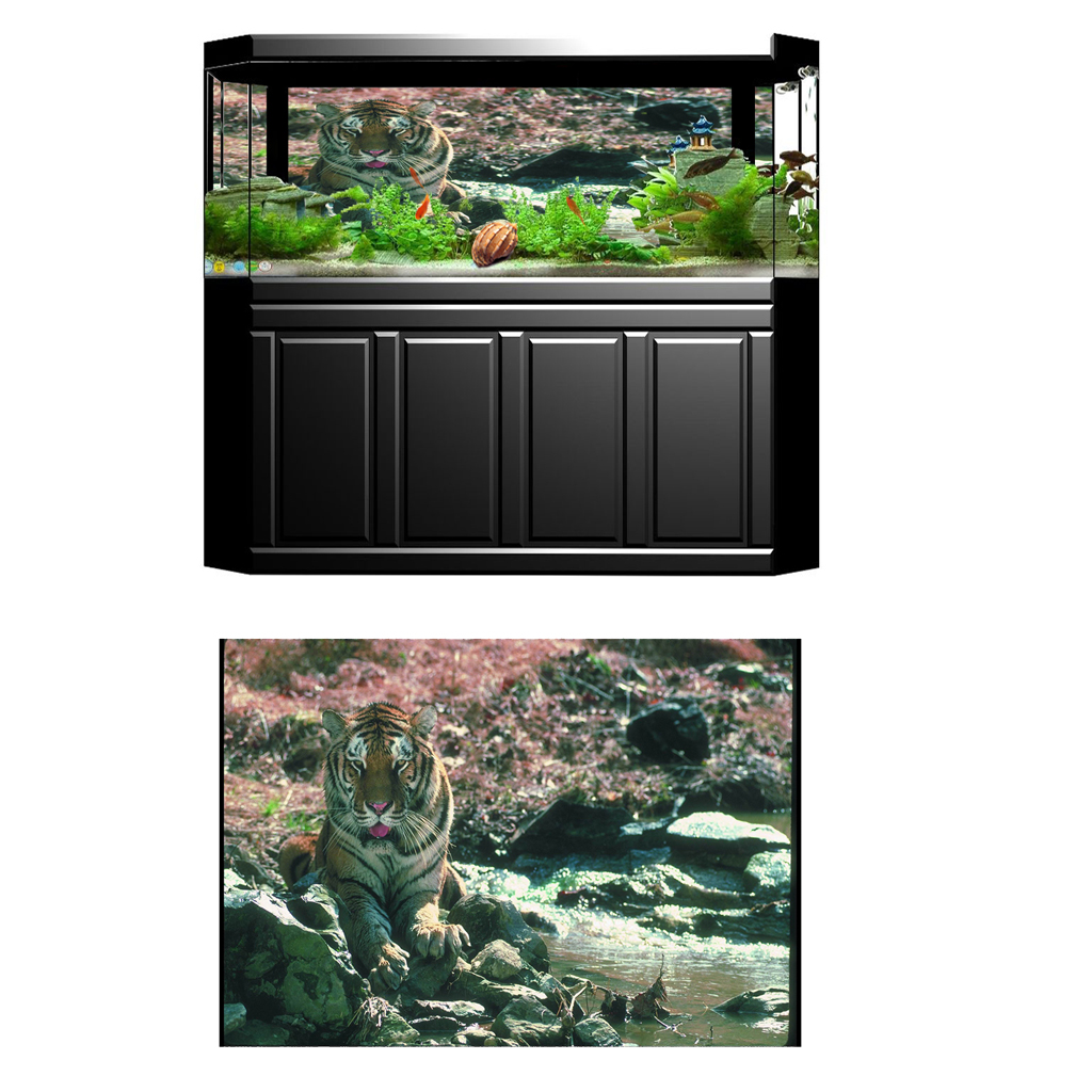 Aquarium 3d Fond D Ecran Decor De Poissons Reservoir Photo