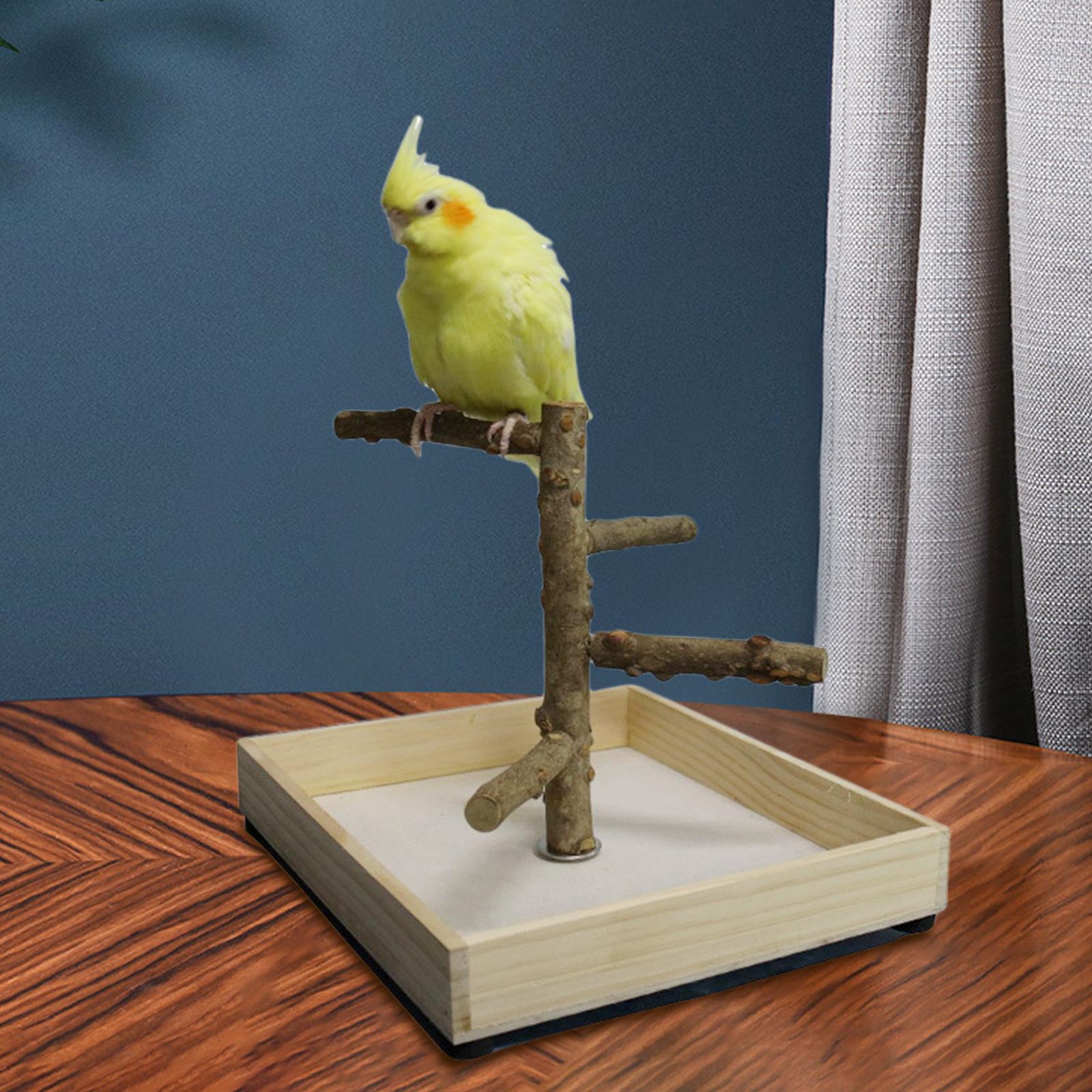Bird Perch Bird Training Stand Tabletop for Cockatiels Lovebirds Parakeets 36x36x25cm