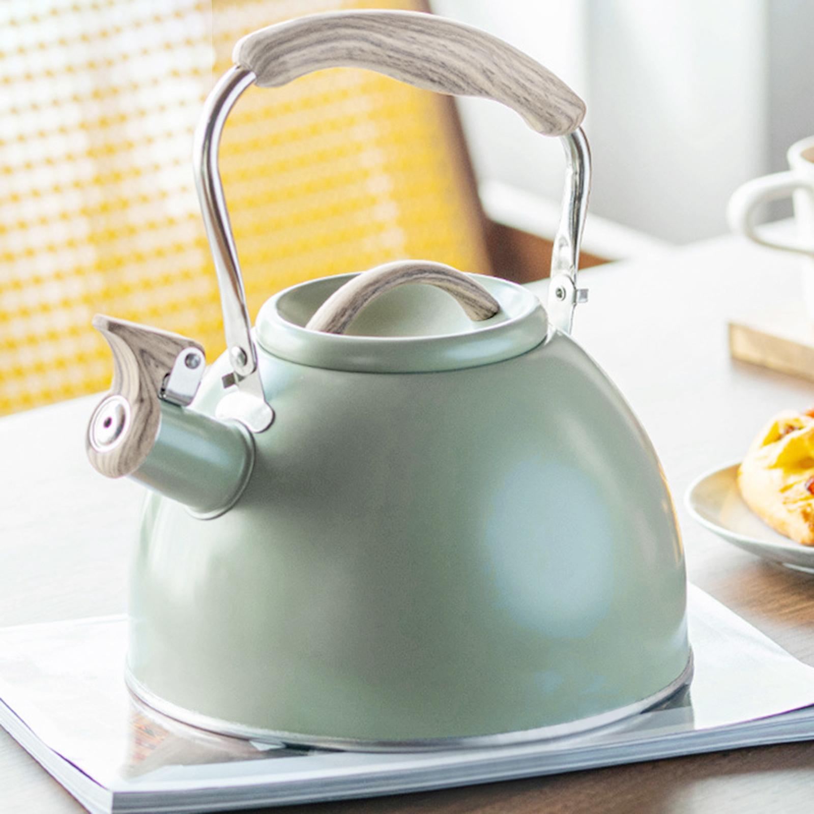 Portable Whistling Kettle 3L Large Capacity Water Kettle  Light Green