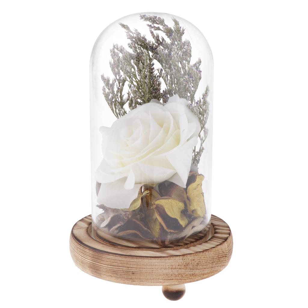 Glass Display Cloche Bell Dome Flower Immortal Preservation Vase White