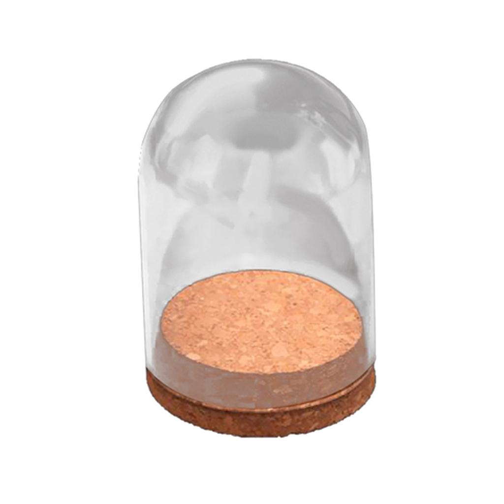 Glass Cloche Bell Jar